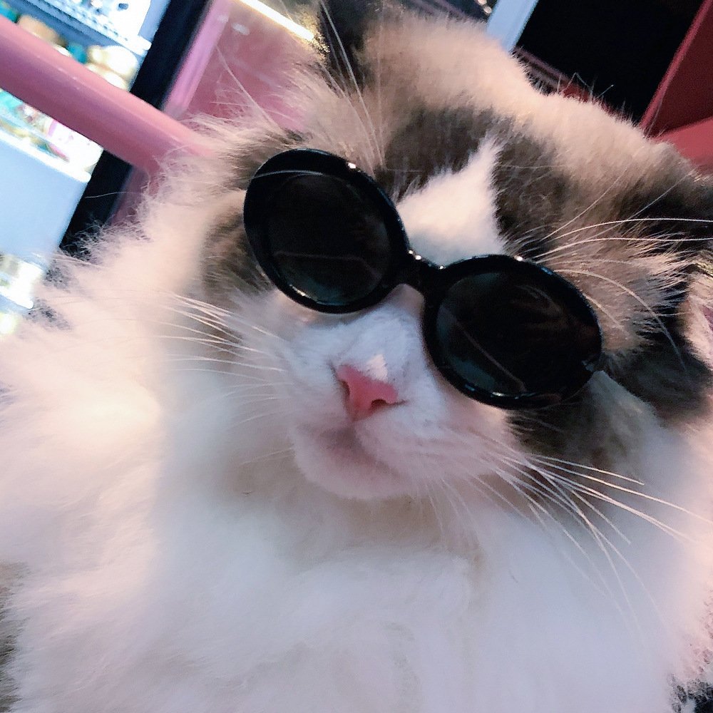 68fa7b29-5cec-4e7d-b4b4-1e898c2ec6cc.jpg Red Pet Sunglasses Cat Model Fashion Love Eyeglass Frames - Image 1
